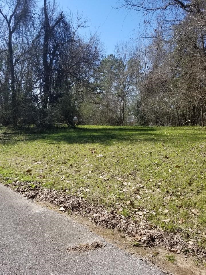 000 Linda Chain Road Property Photo 8