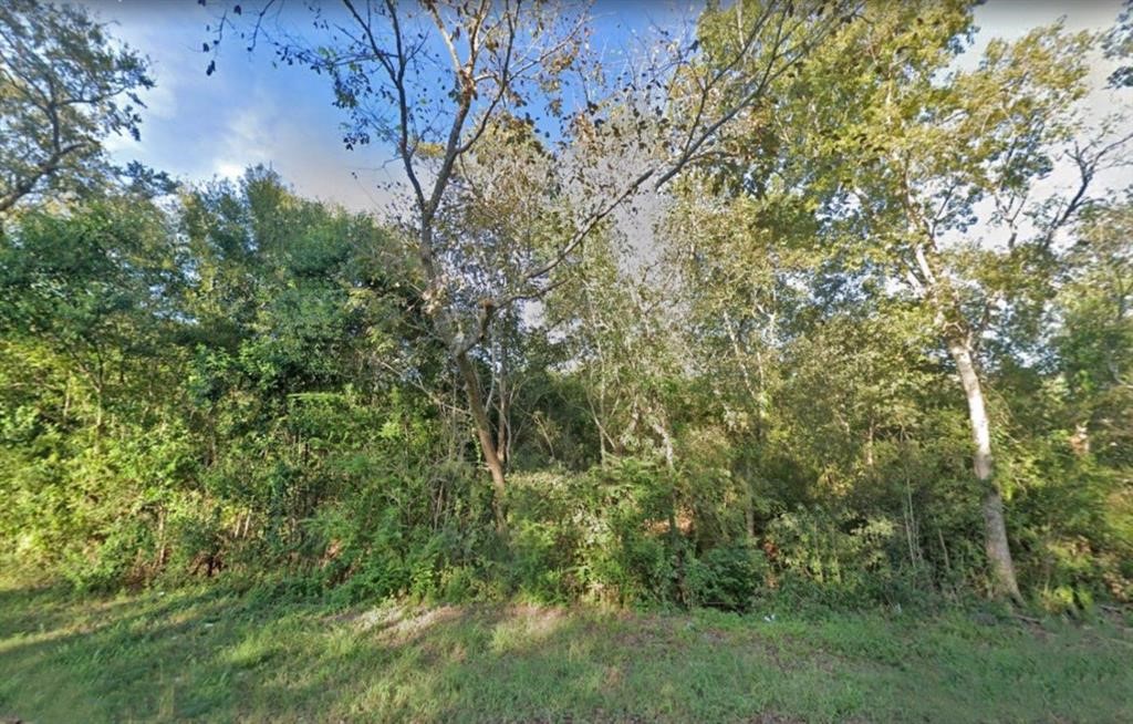 000 Bayou Drive Property Photo 3