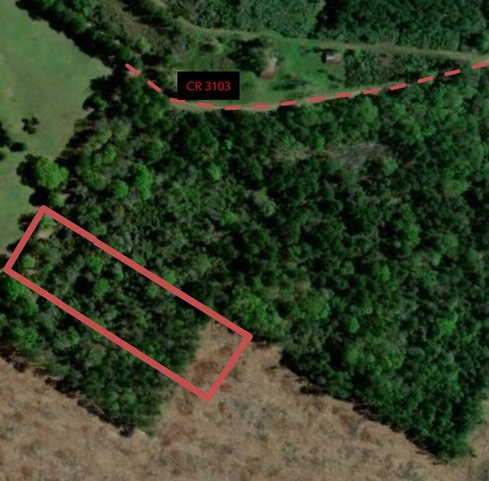 3.50ac County Road 3103, Call Tx 75933 Property Photo 1