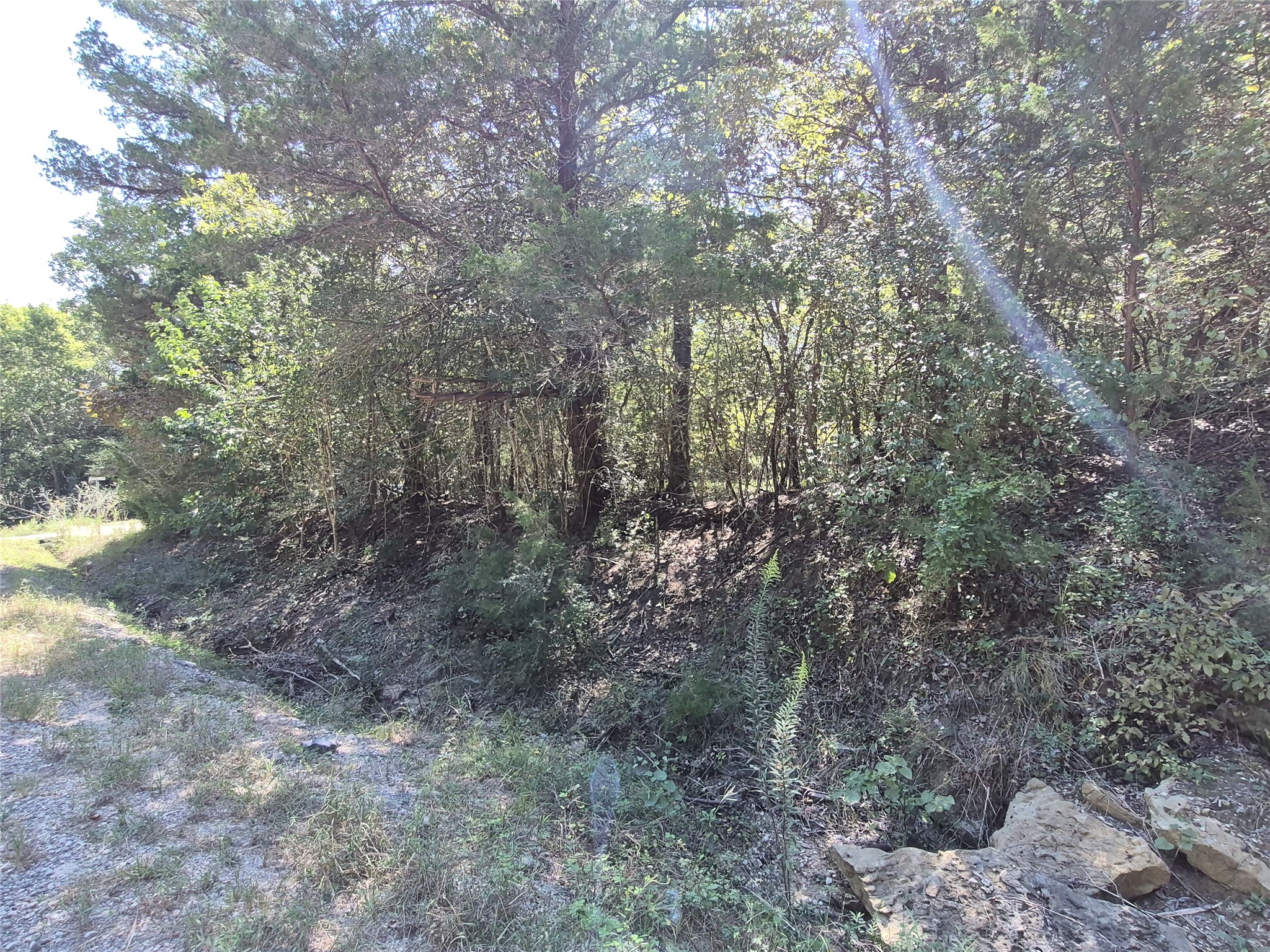 TBD Cedar Hilltop Dr Property Photo 1
