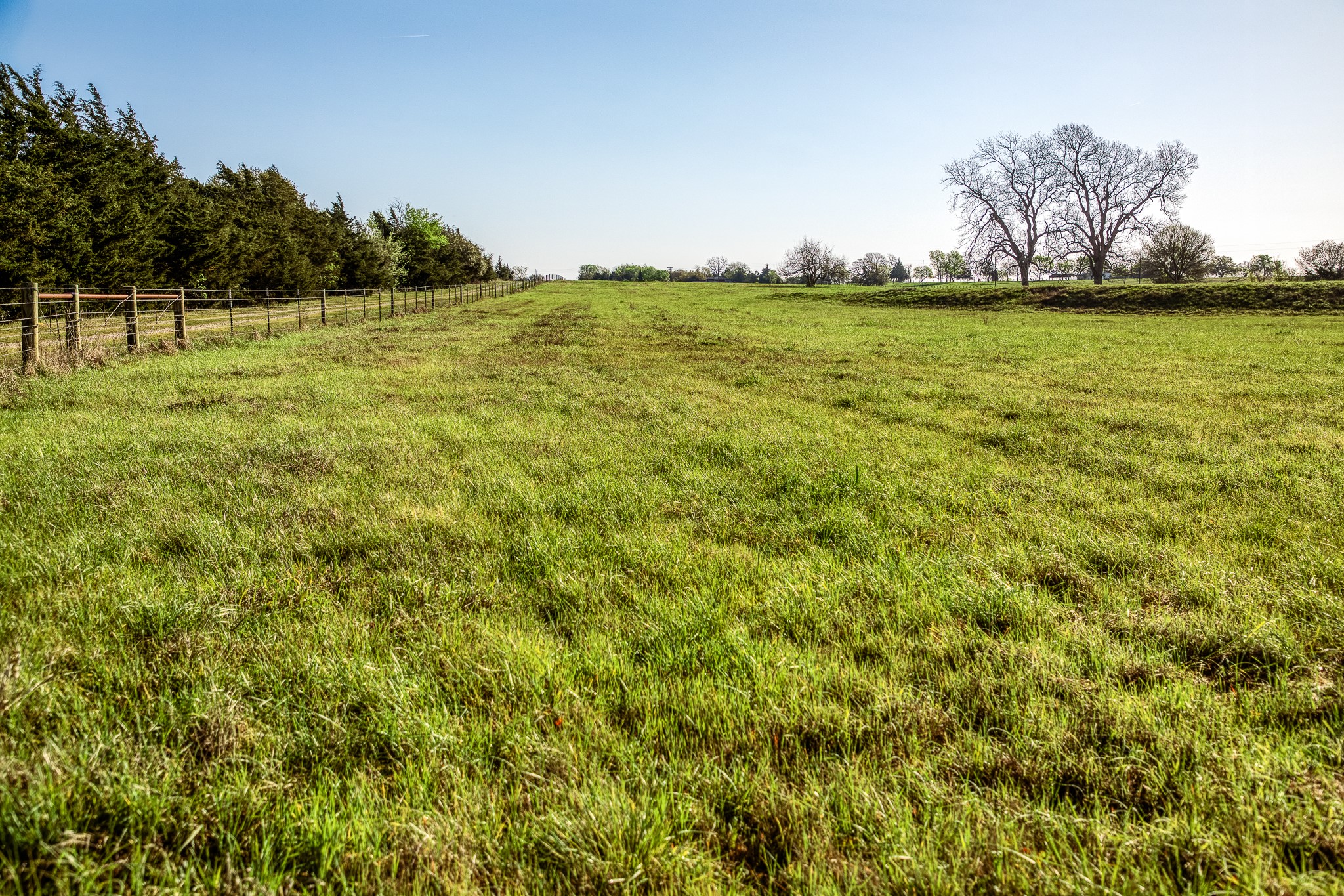 Approx 20 Acres Field Crest Lane Property Photo 6