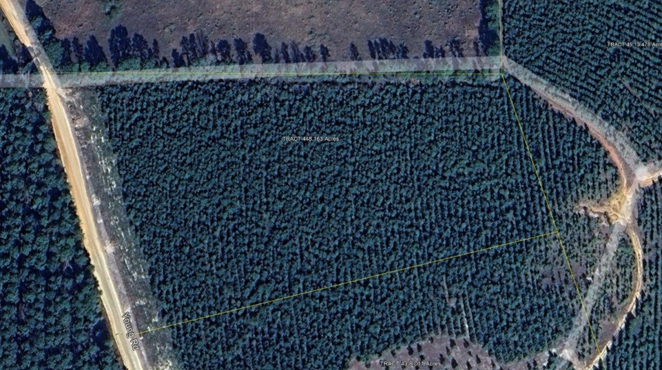 Tbd Young Tract 44 Property Photo 1