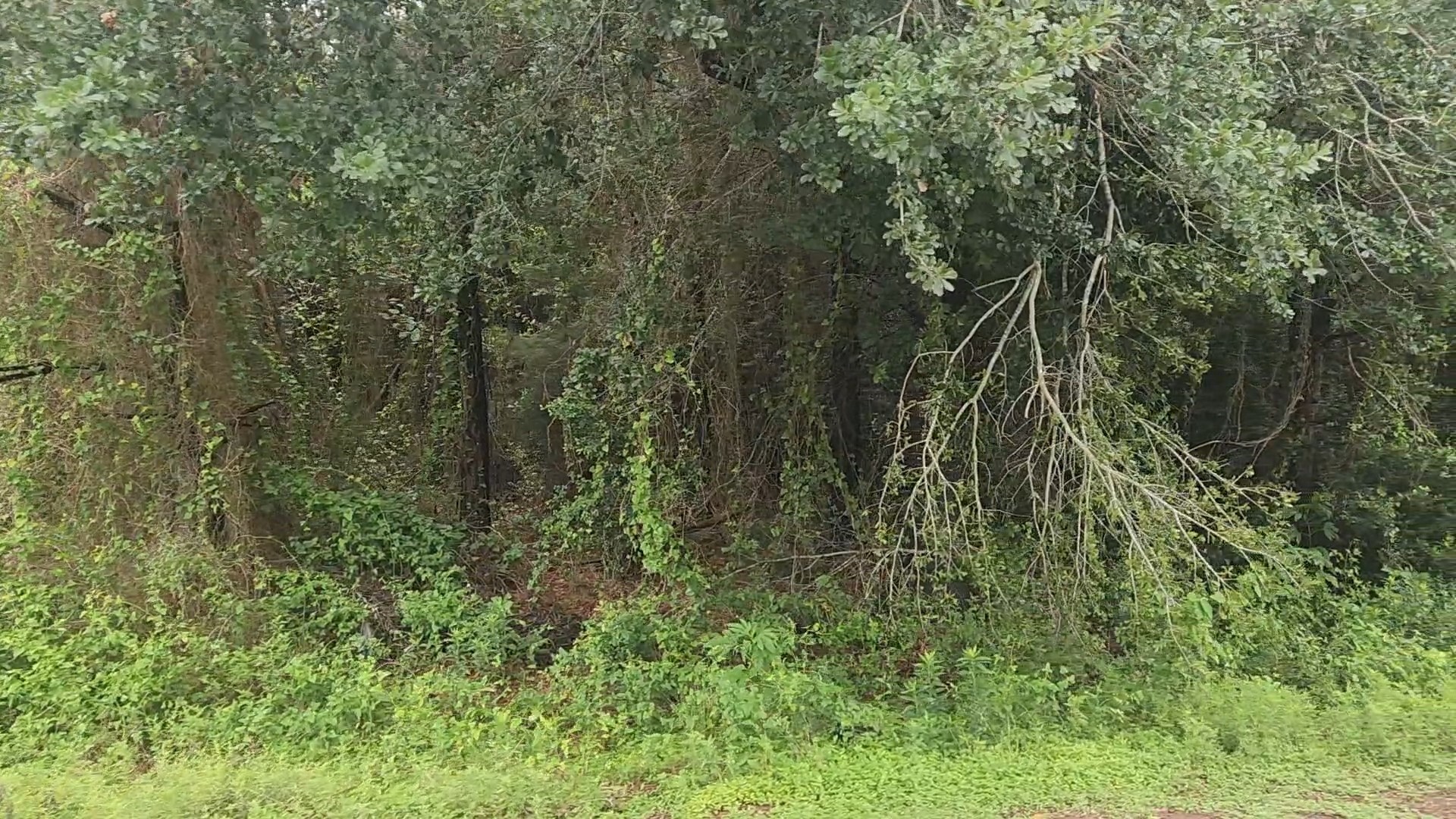 Lot 61 Greenfield Road Property Photo 8