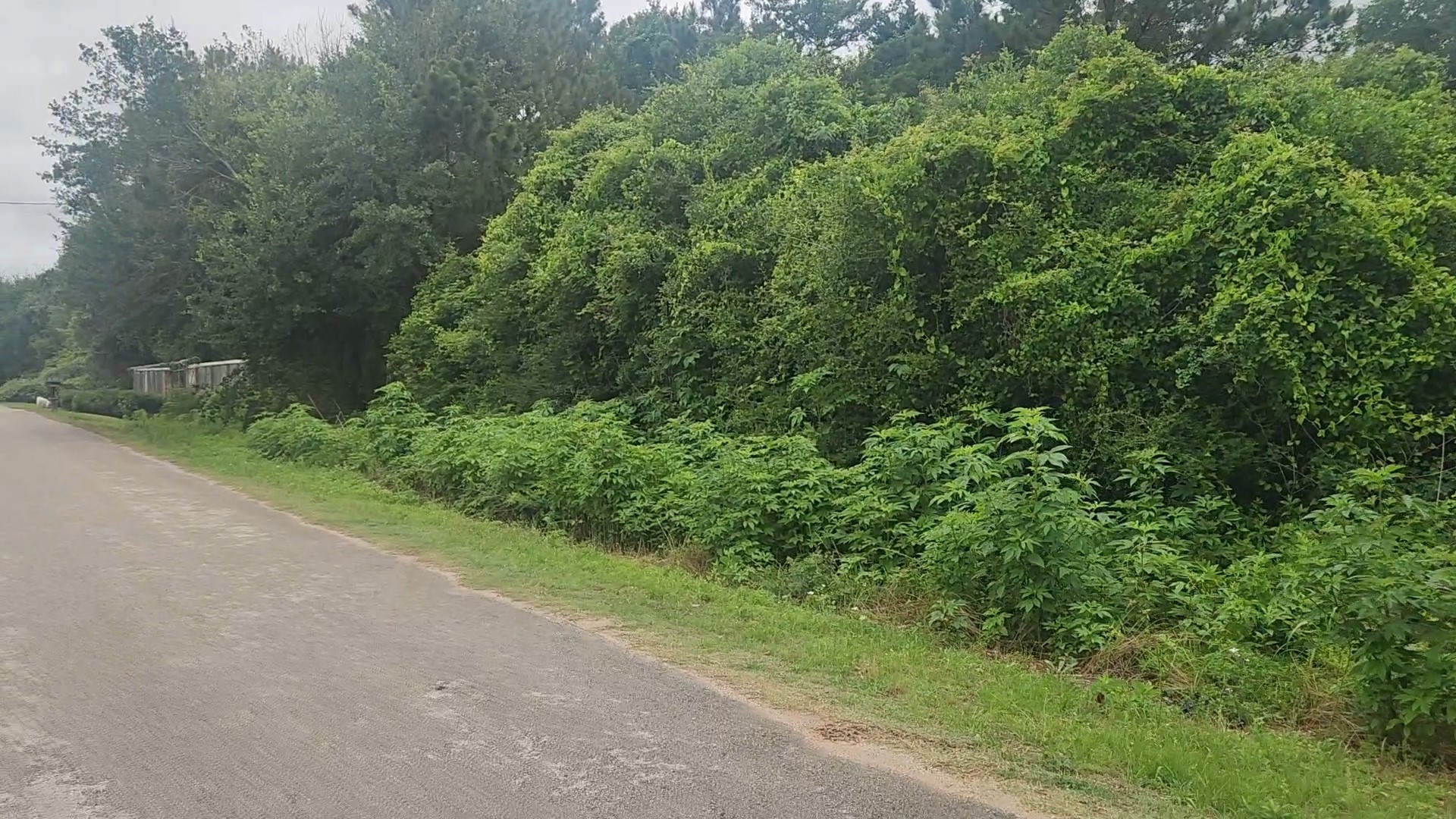 Lot 61 Greenfield Road Property Photo 14