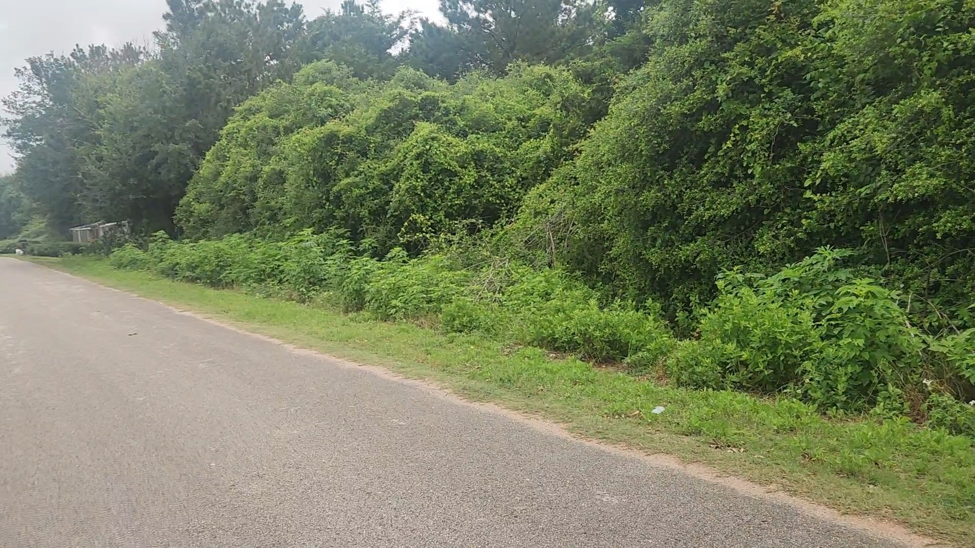 Lot 61 Greenfield Road Property Photo 15