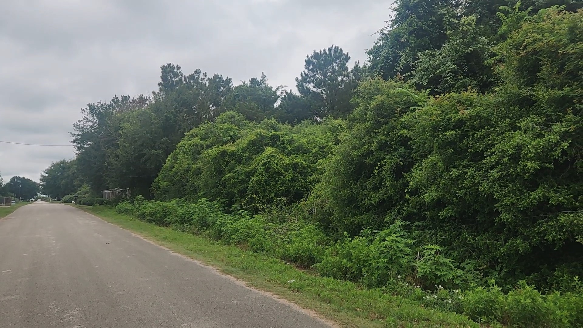 Lot 61 Greenfield Road Property Photo 17