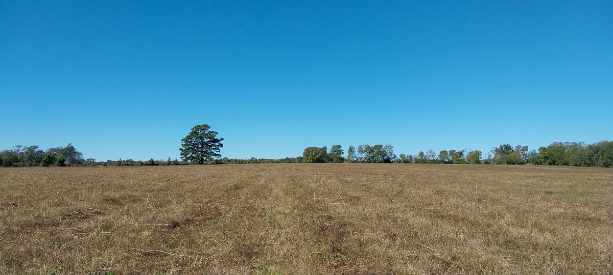 0 Private Road 5470 Property Photo 1