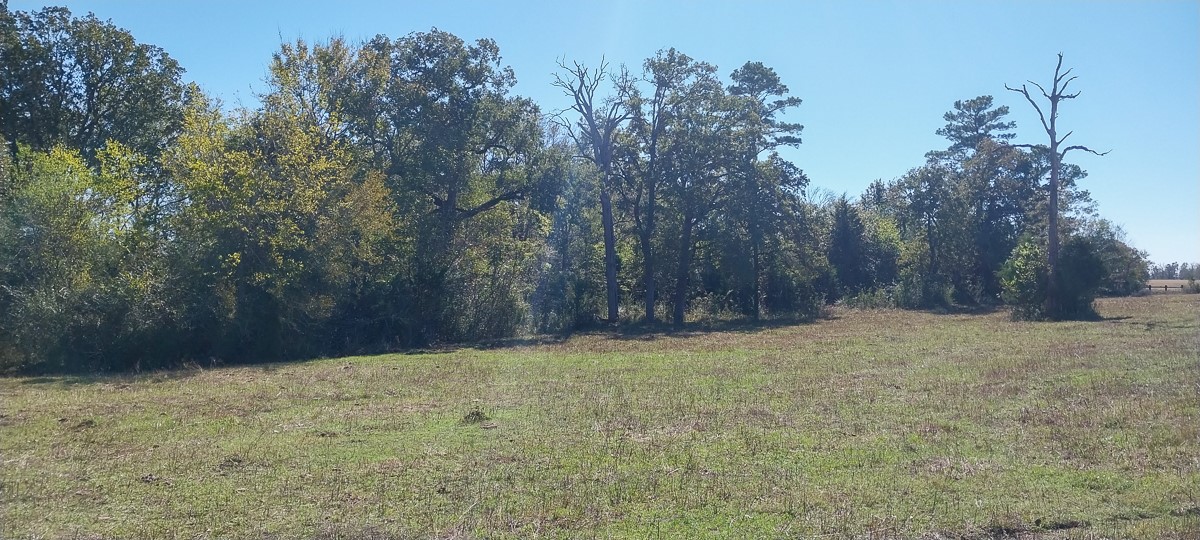 0 Private Road 5470 Property Photo 2