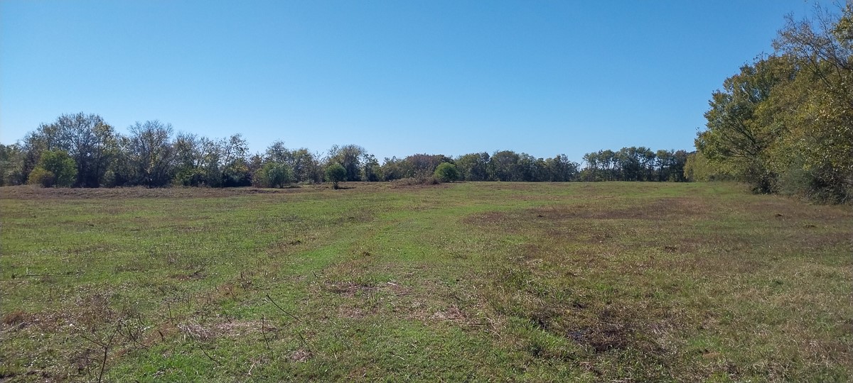 0 Private Road 5470 Property Photo 4