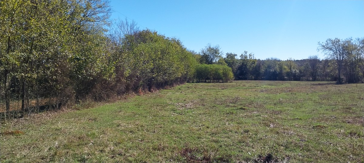 0 Private Road 5470 Property Photo 5