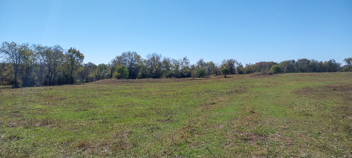 0 Private Road 5470 Property Photo 6