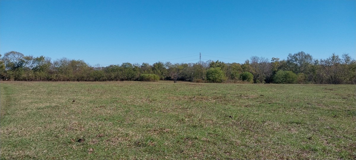 0 Private Road 5470 Property Photo 7