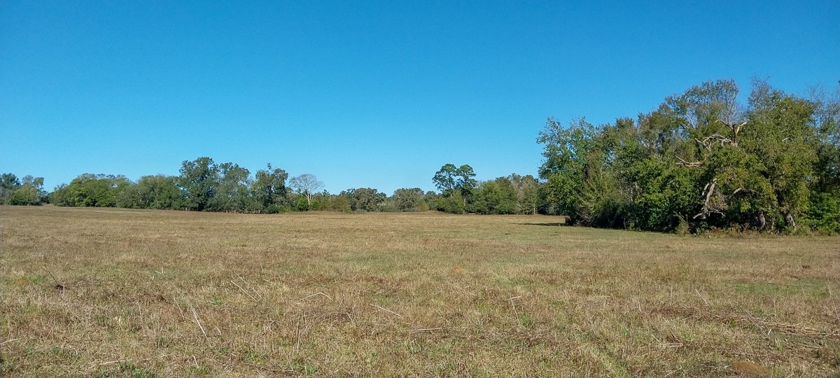 0 Private Road 5470 Property Photo 8