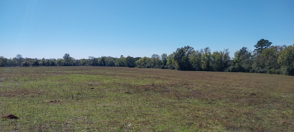 0 Private Road 5470 Property Photo 10