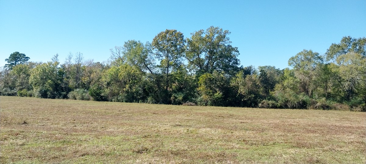 0 Private Road 5470 Property Photo 12