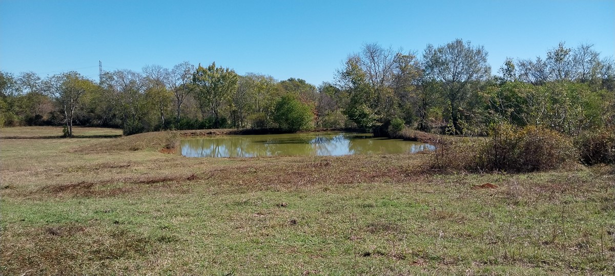 0 Private Road 5470 Property Photo 13