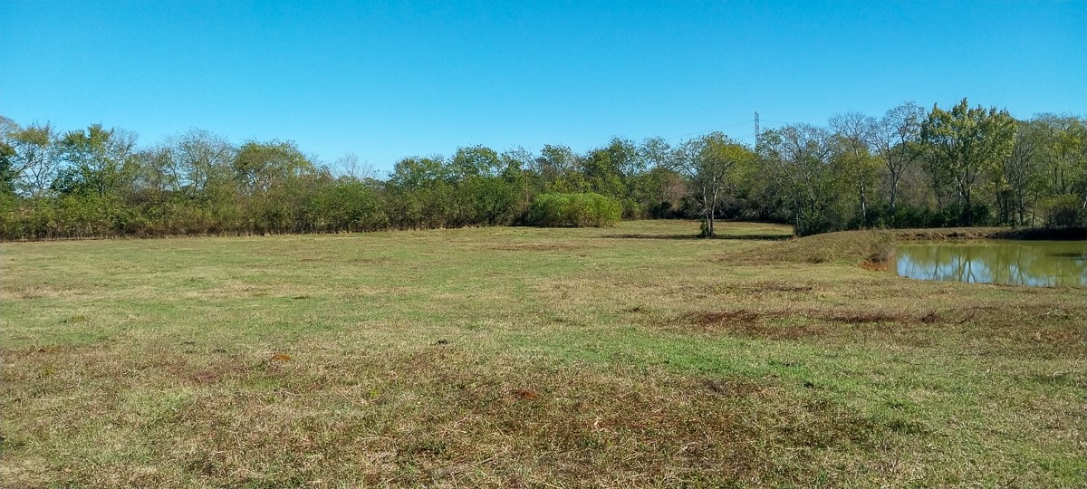 0 Private Road 5470 Property Photo 14