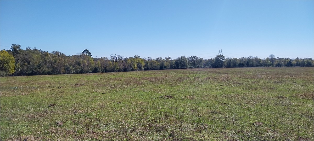 0 Private Road 5470 Property Photo 15