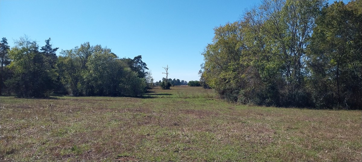 0 Private Road 5470 Property Photo 16