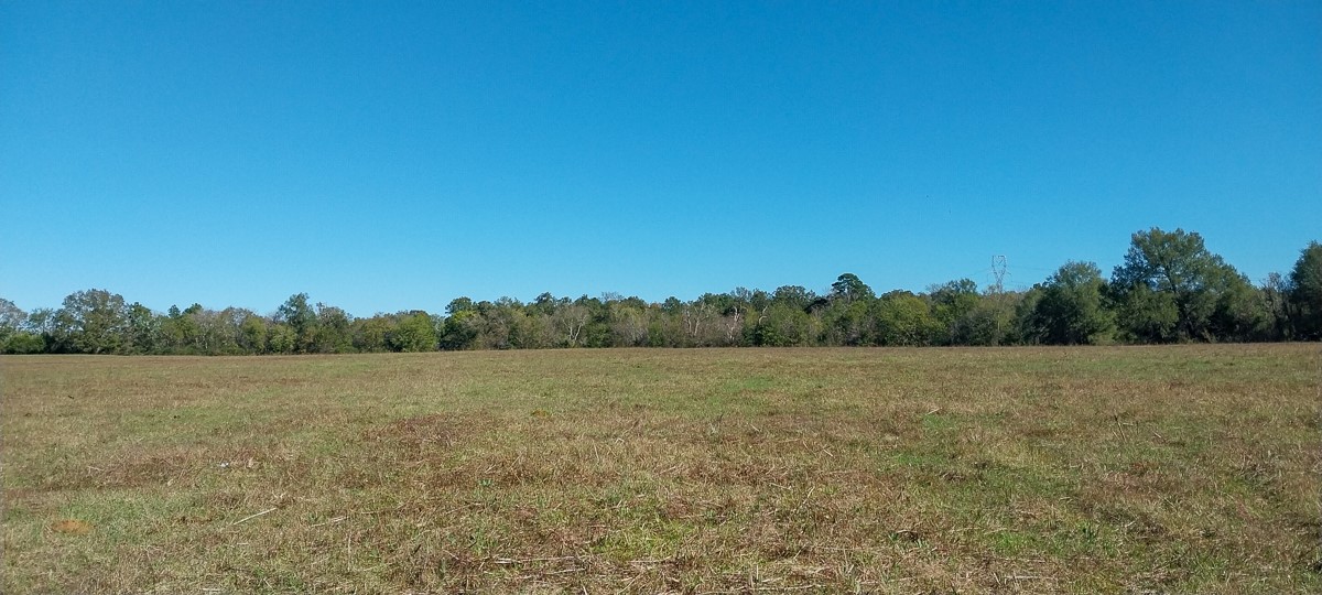 0 Private Road 5470 Property Photo 17