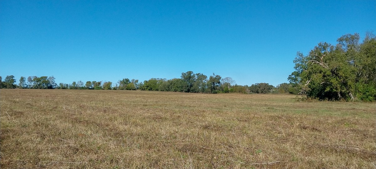 0 Private Road 5470 Property Photo 18