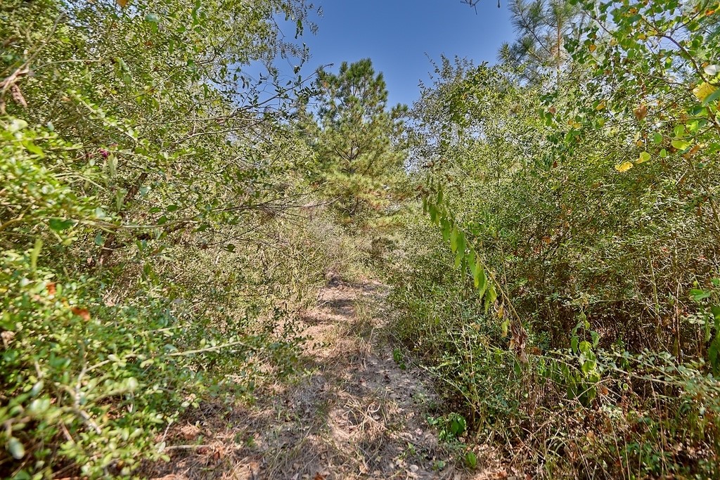 28850 Riley Road Property Photo 22