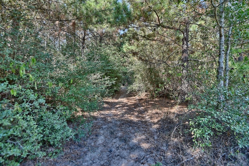 28850 Riley Road Property Photo 23