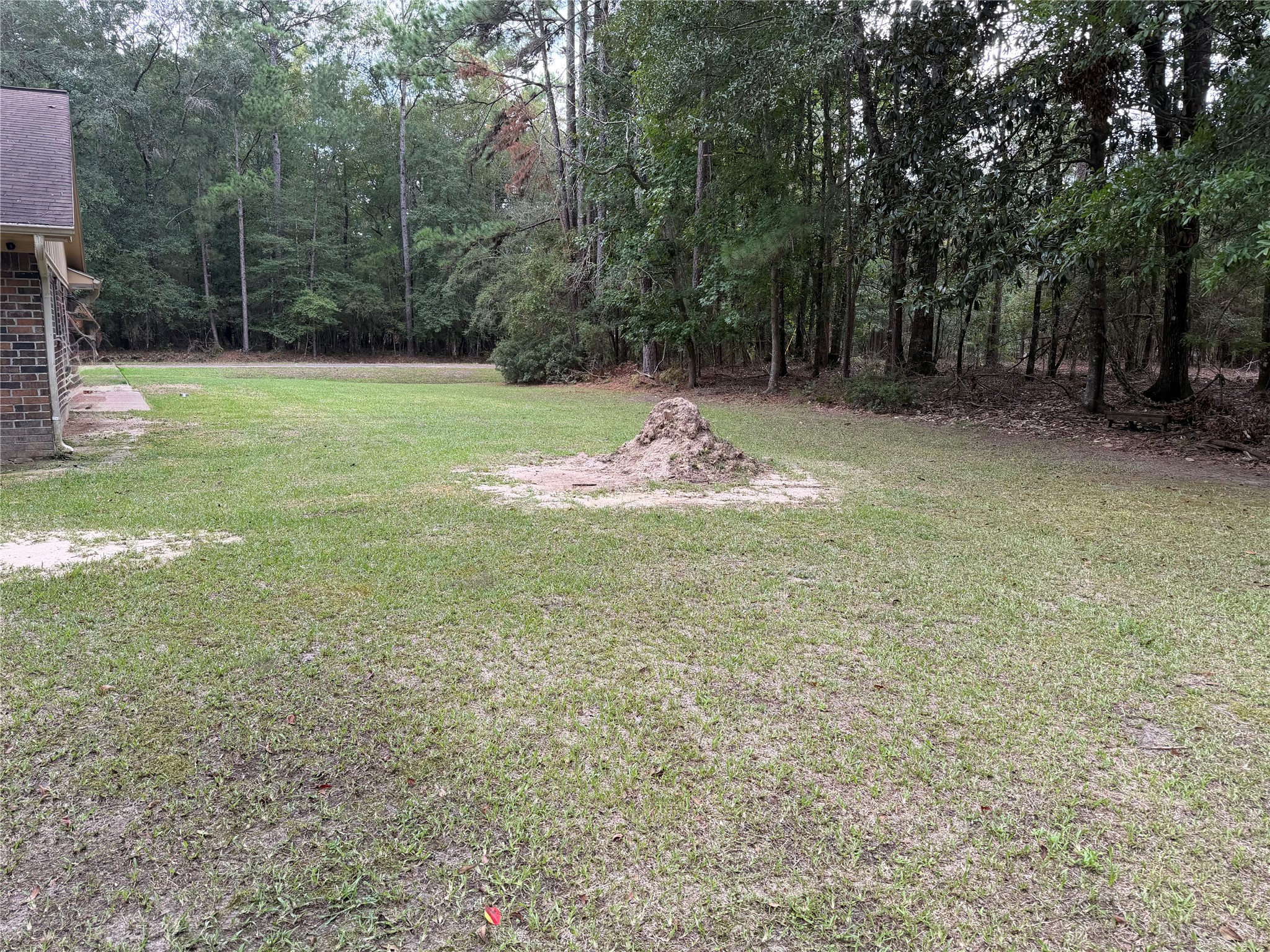 120 Bald Cypress Drive Property Photo 6