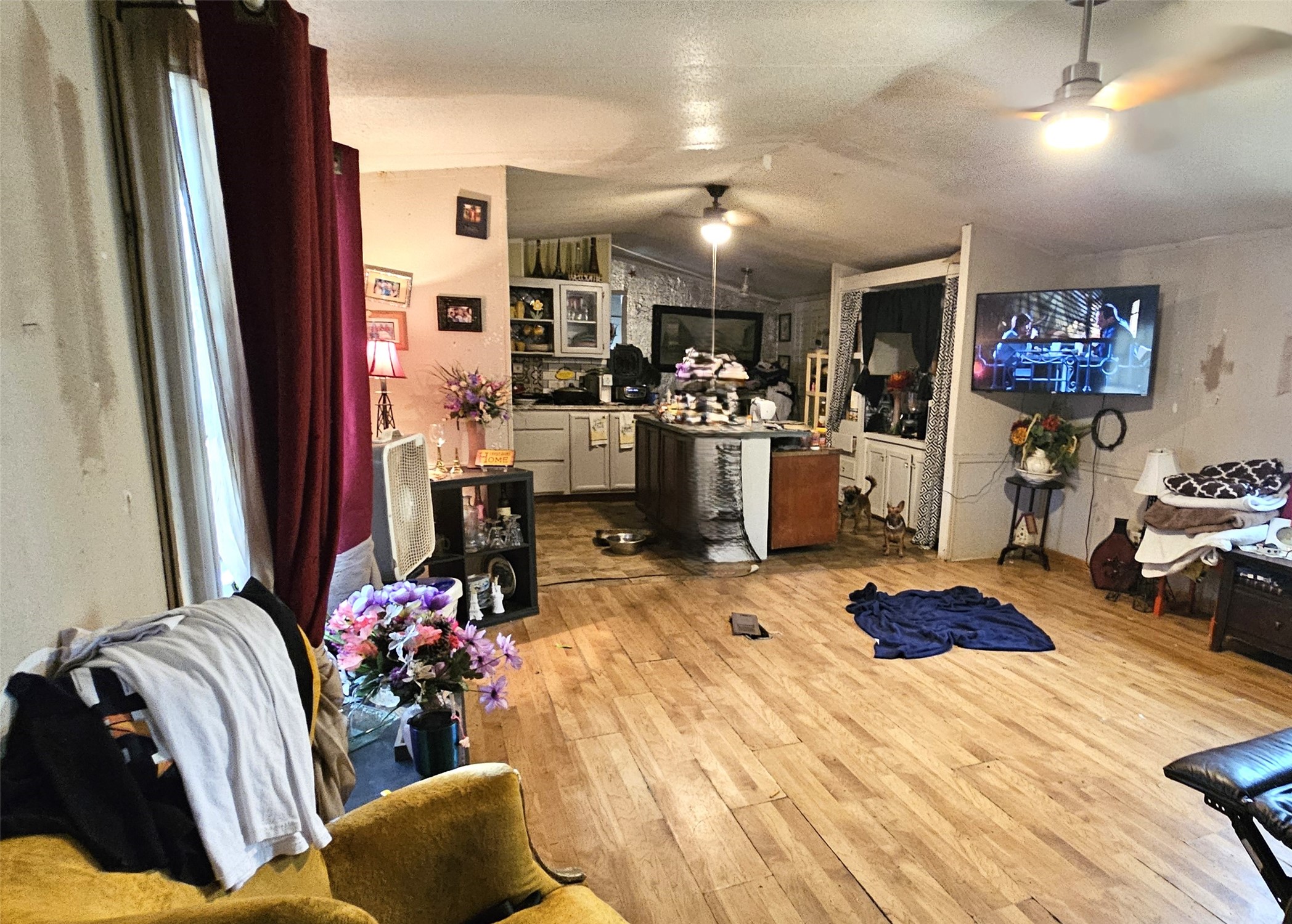 495 Florida Lane Property Photo 7