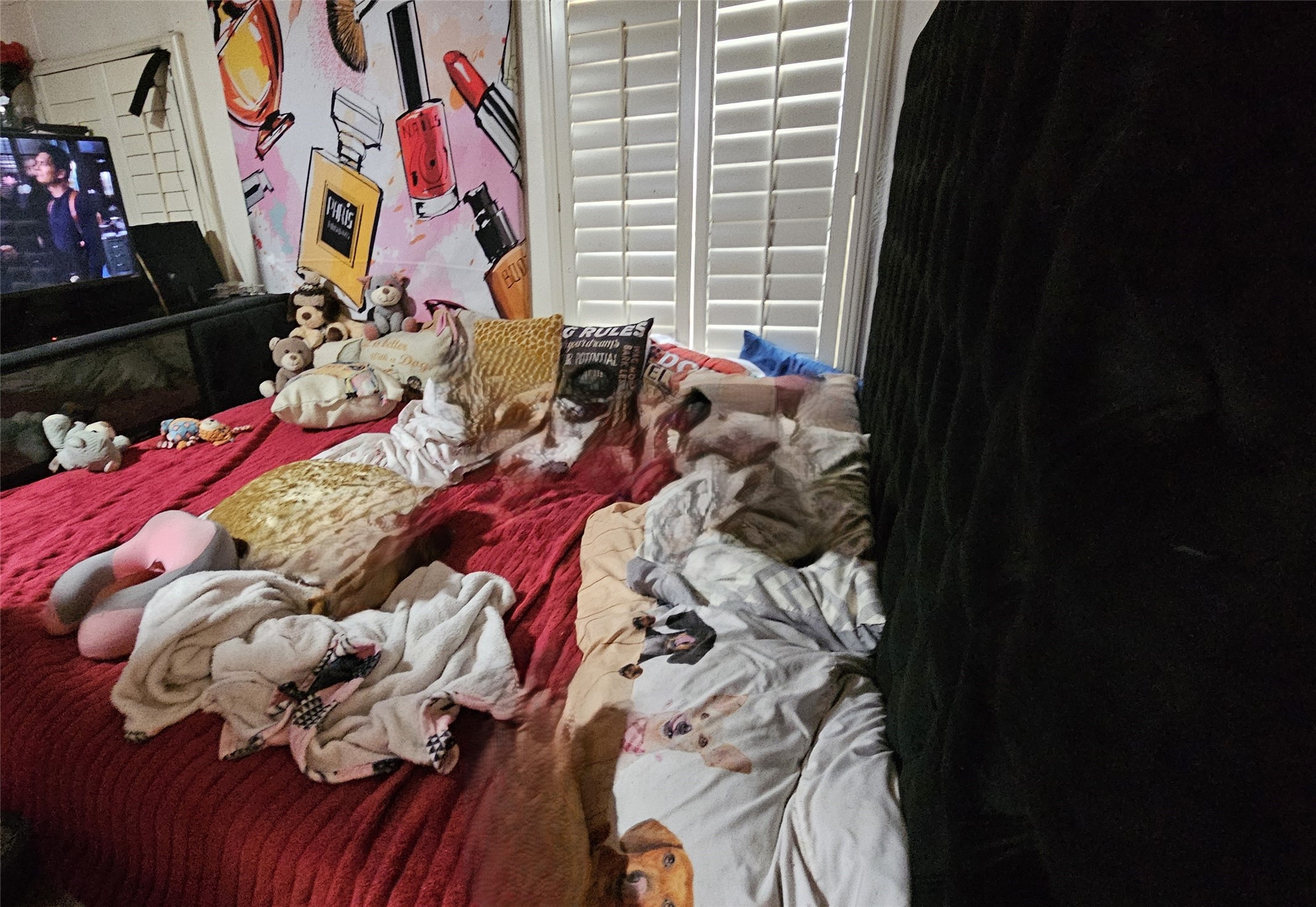 495 Florida Lane Property Photo 17