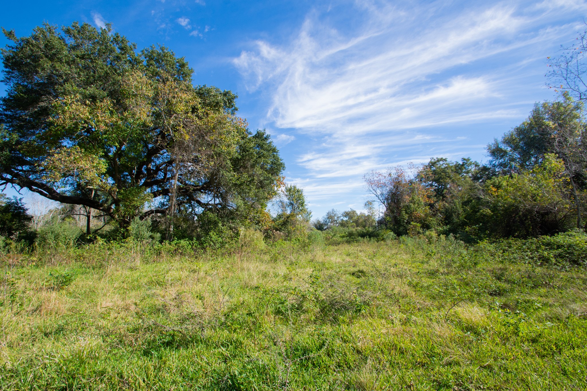 Tbd Hwy 36 Property Photo