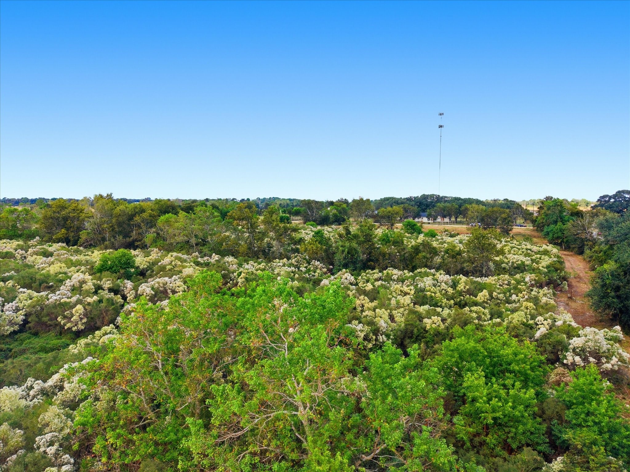Lot 9 Cow Creek Road Property Photo 12