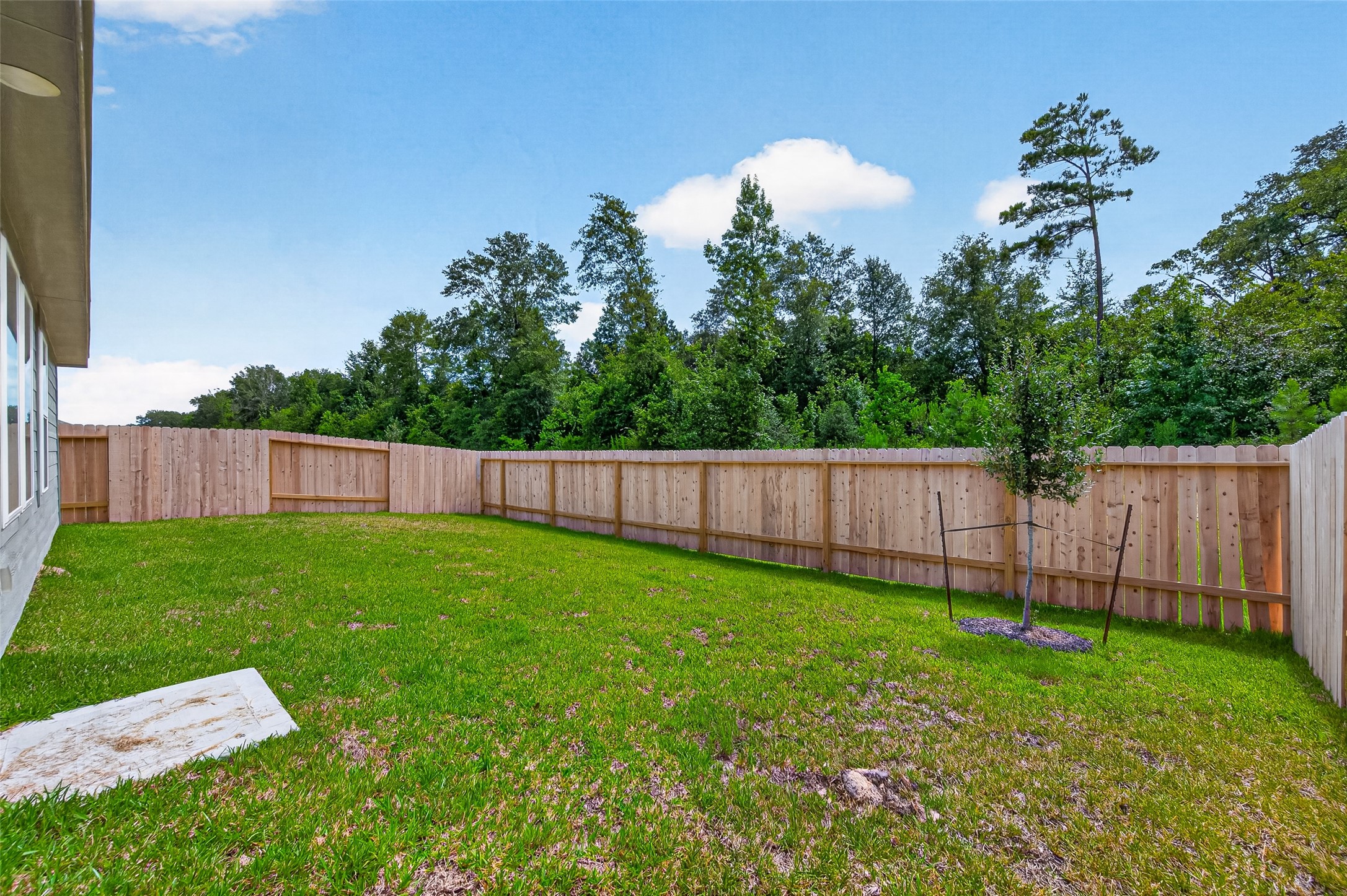 25568 Rose Creek Drive Property Photo 34