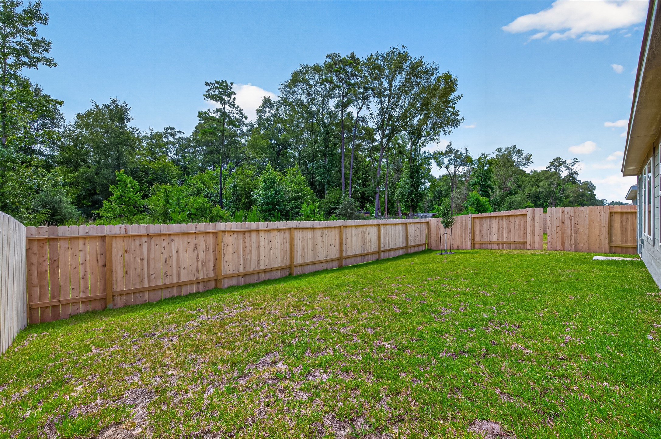 25568 Rose Creek Drive Property Photo 37