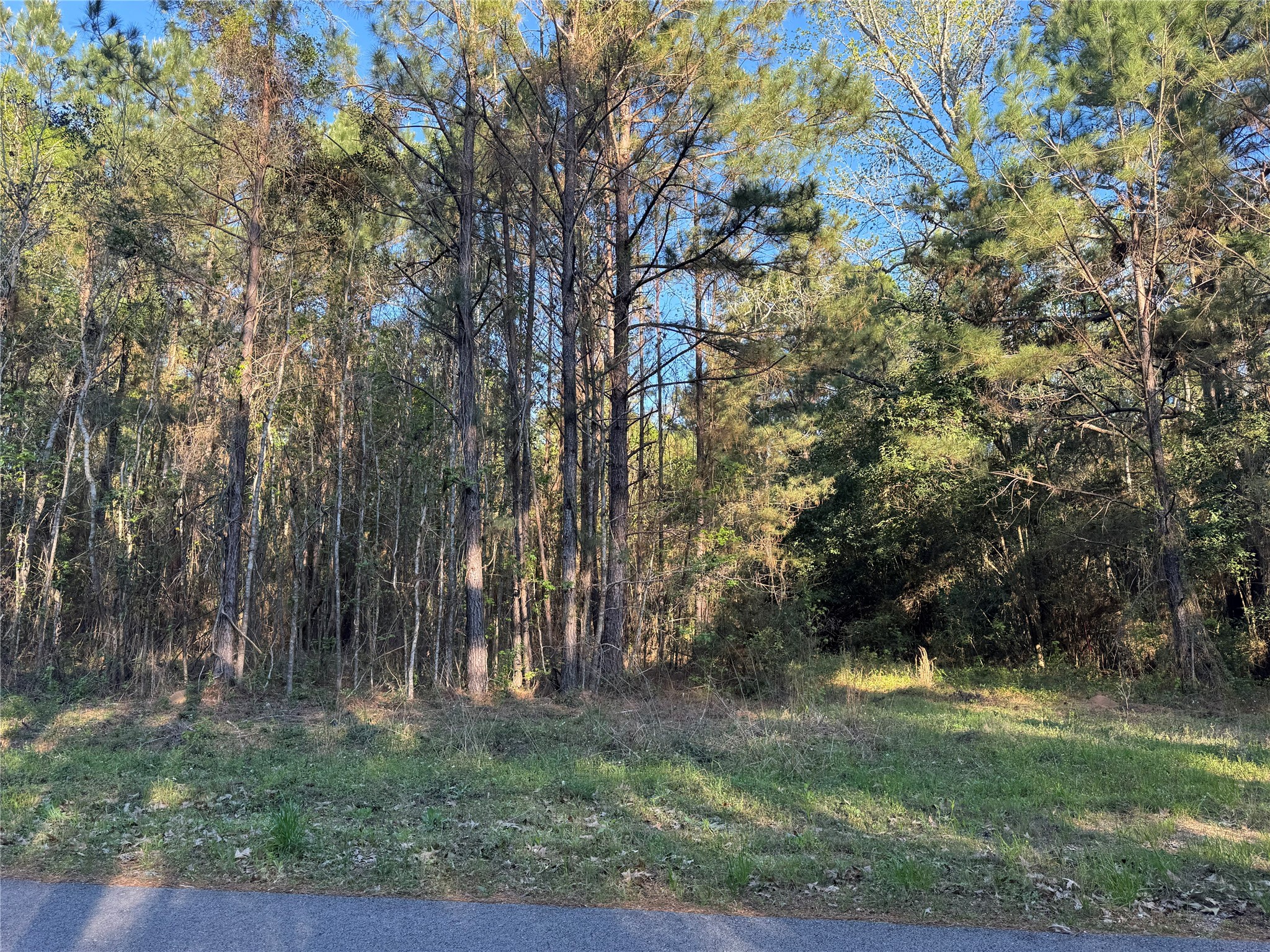 000 Rose Hill Road Property Photo 3