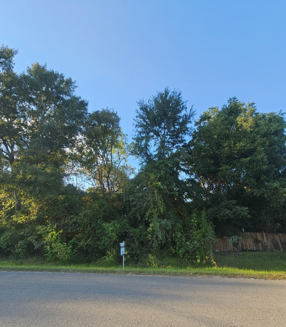 Tbd Avenue F Property Photo 1