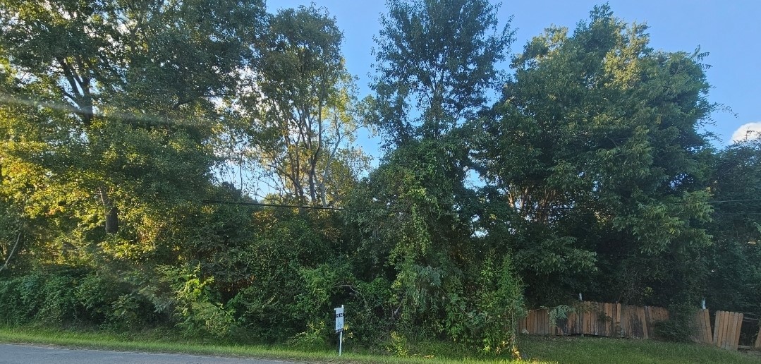 Tbd Avenue F Property Photo 2