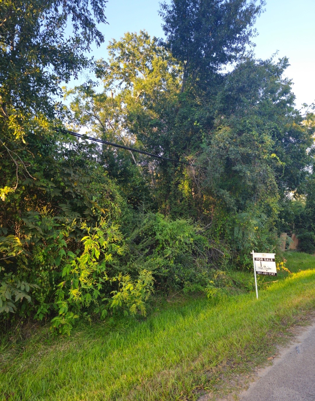 Tbd Avenue F Property Photo 3