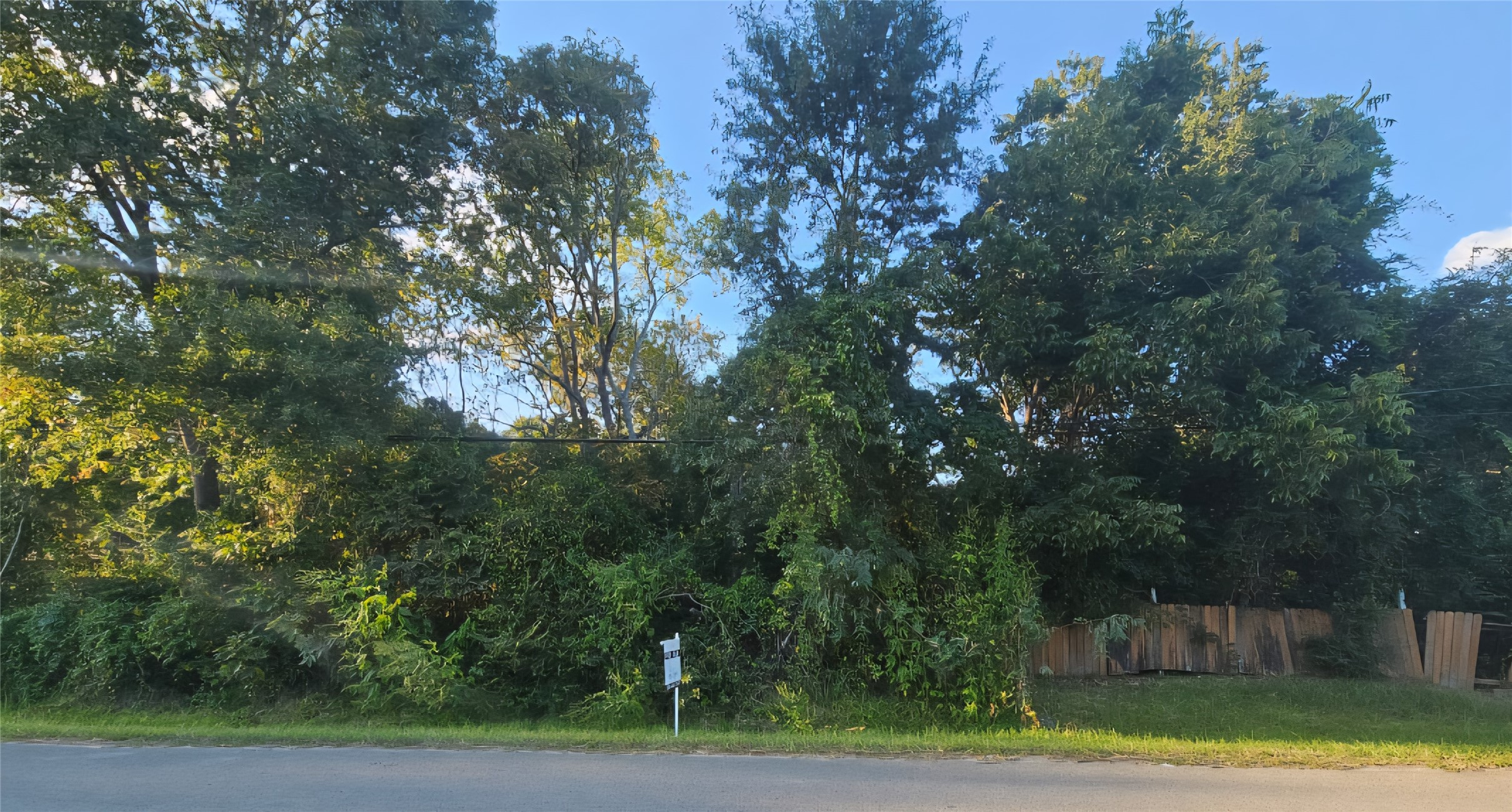 Tbd Avenue F Property Photo 4