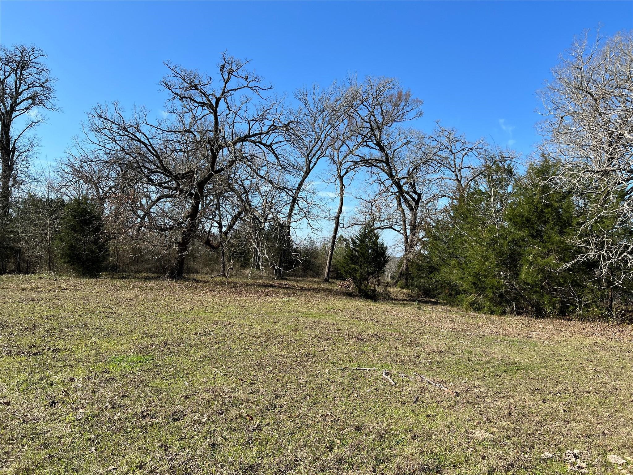 19285 Moriarty Rd Property Photo 5