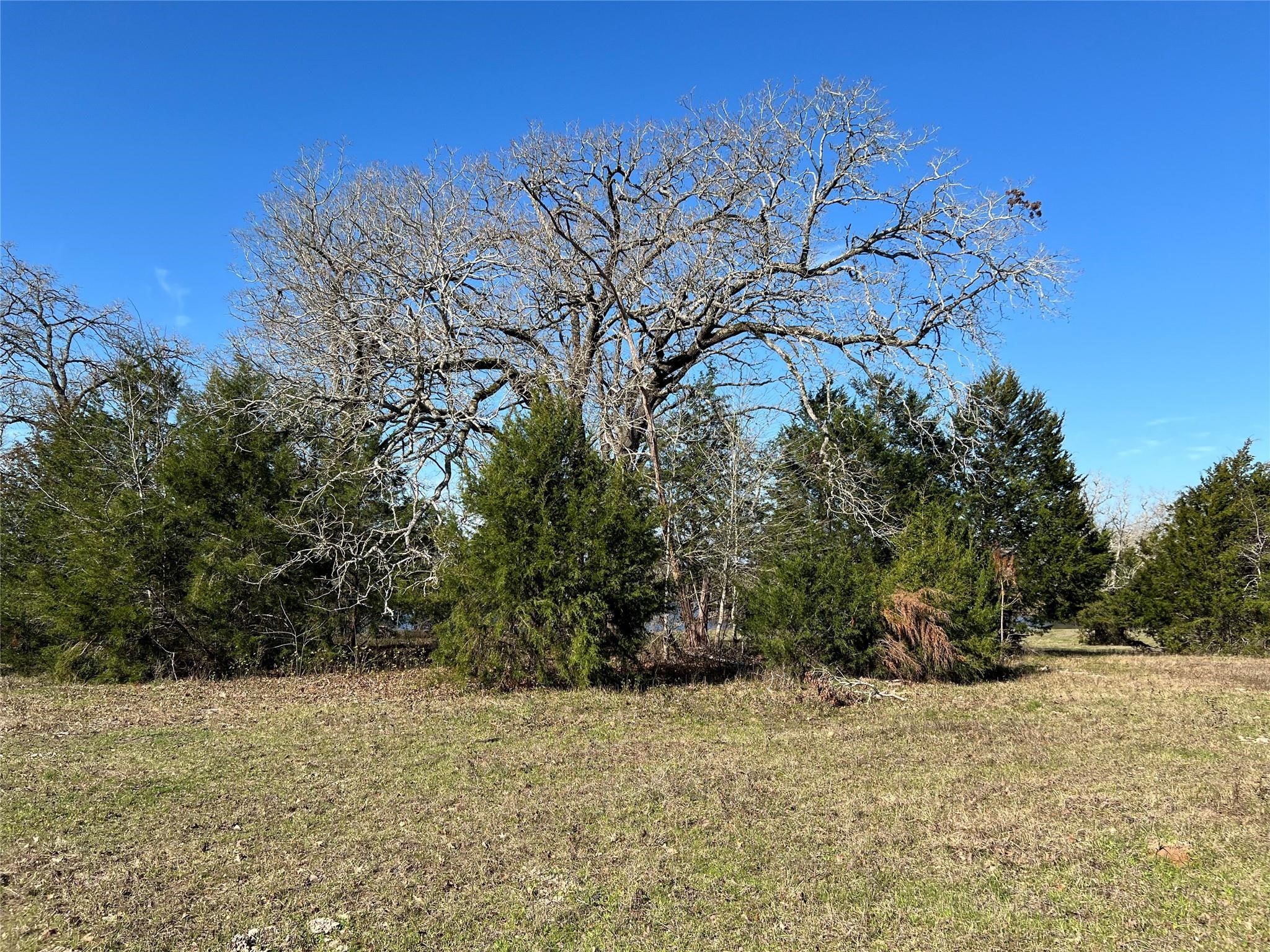 19285 Moriarty Rd Property Photo 6