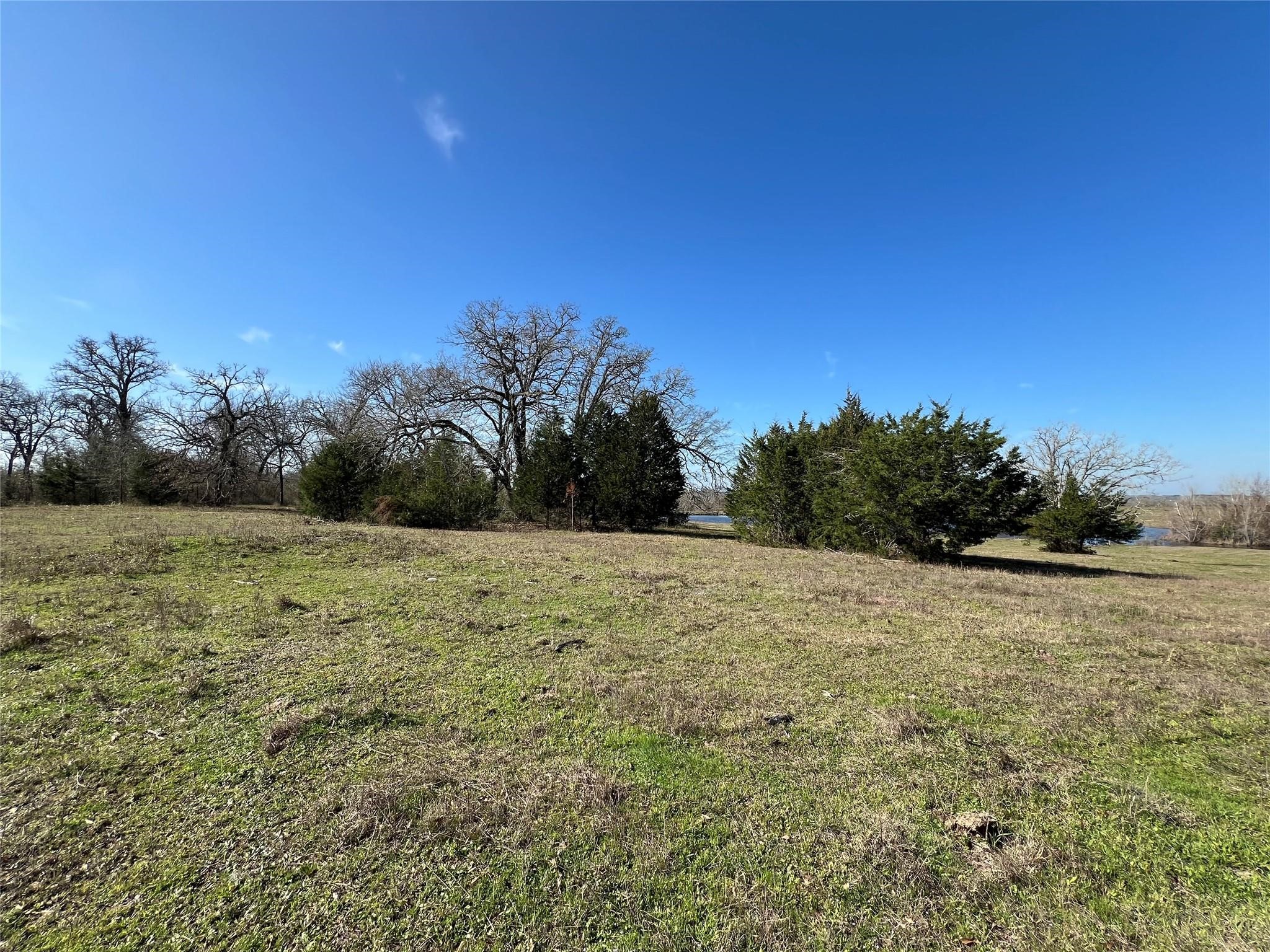 19285 Moriarty Rd Property Photo 7