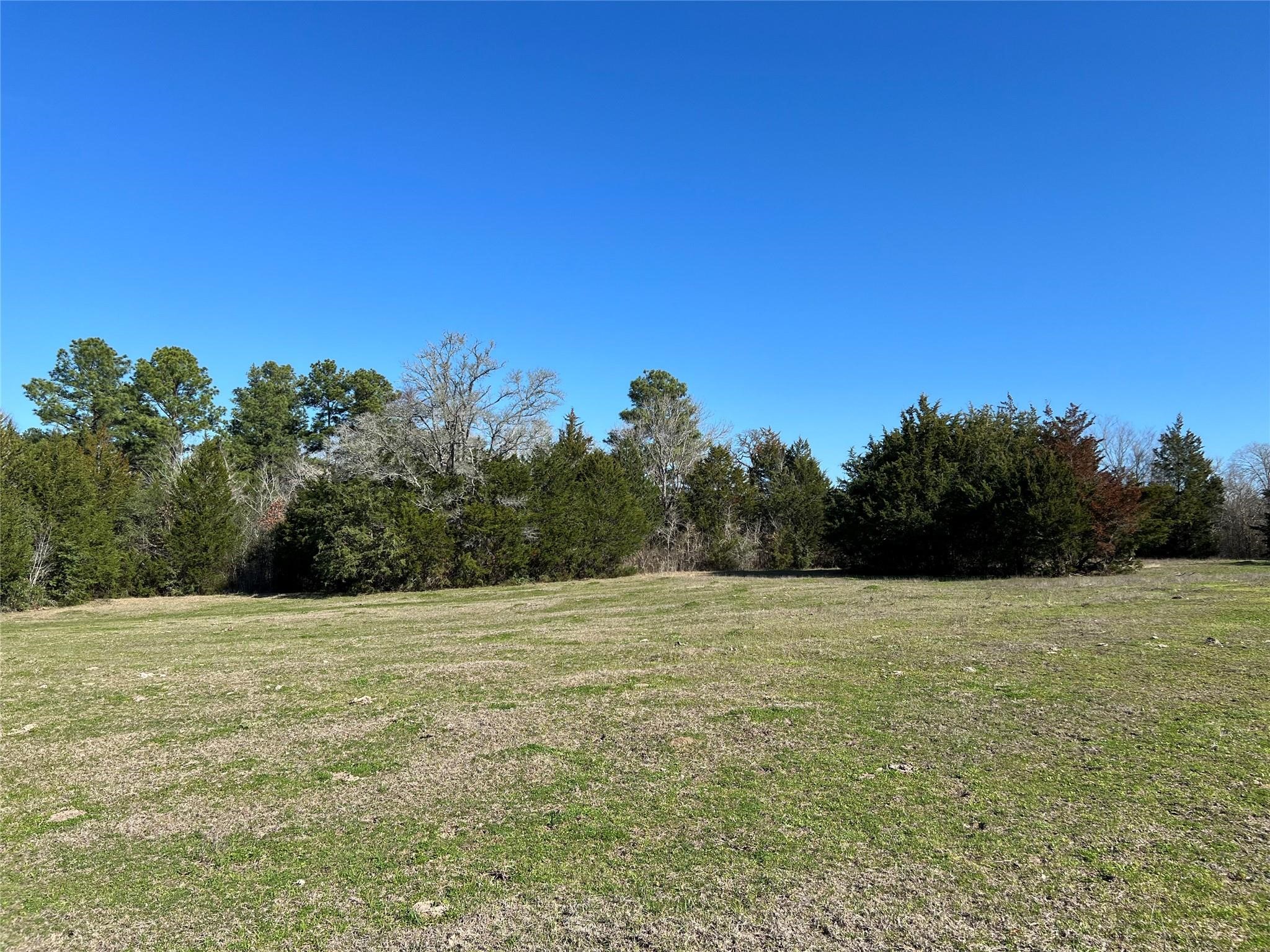 19285 Moriarty Rd Property Photo 9