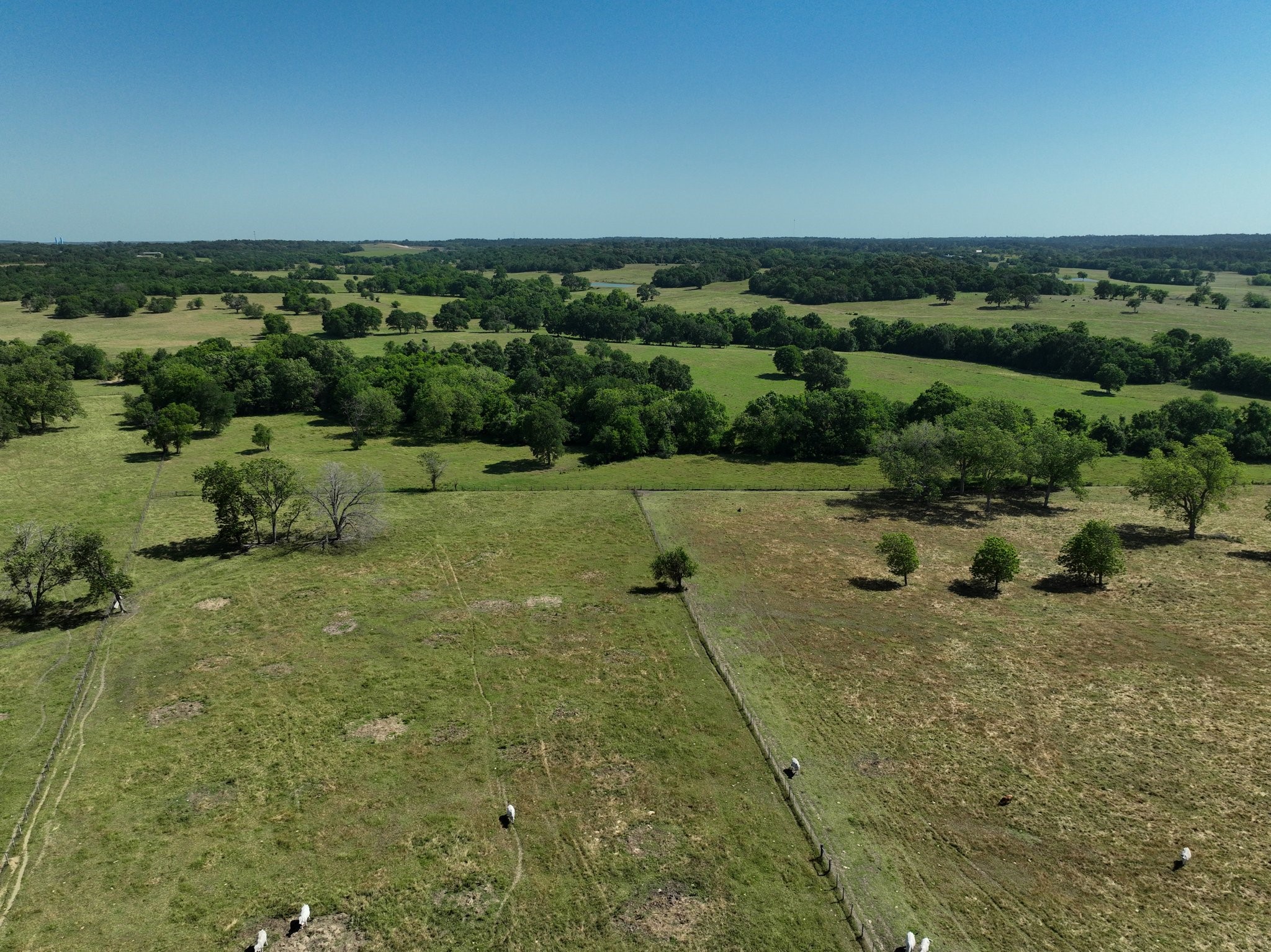 Tract #7 Cr 305 Road Property Photo 1