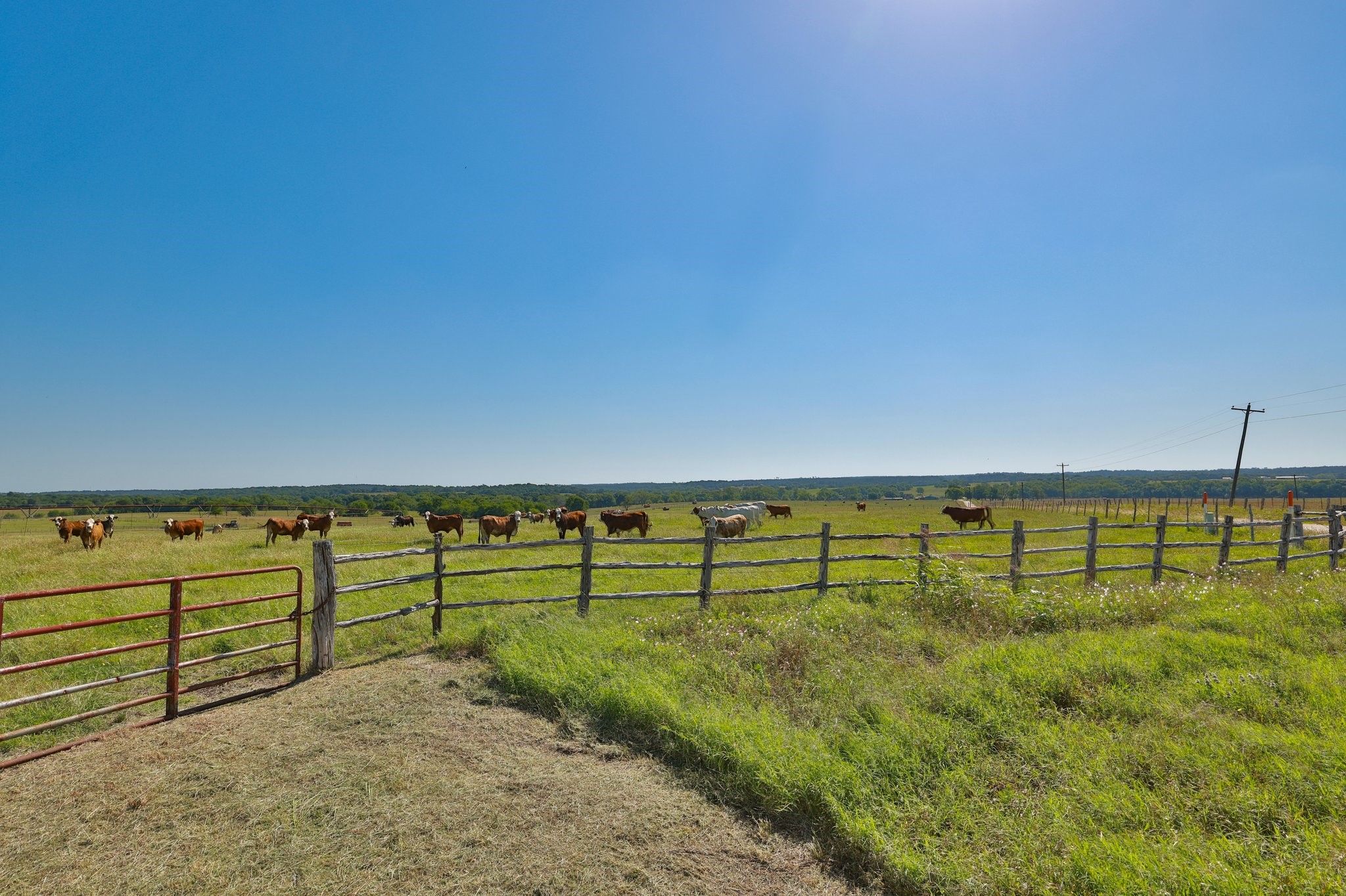 Tract #7 Cr 305 Road Property Photo 6