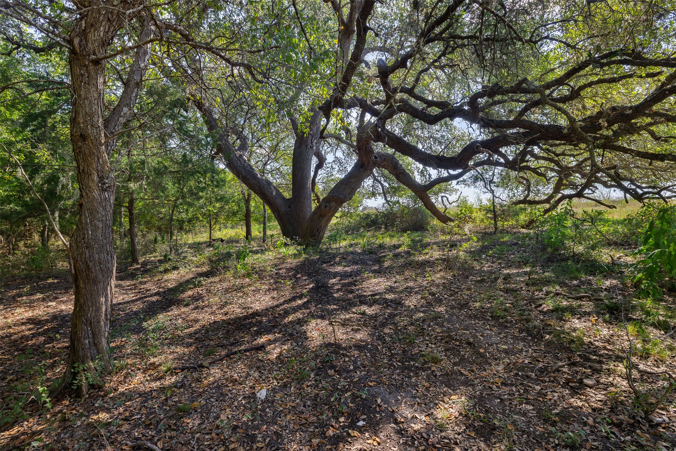 Tbd Roznov Road Property Photo 1