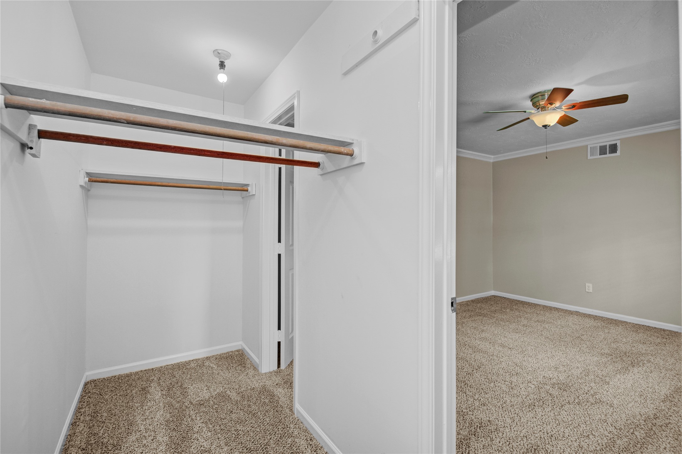 15702 Wandering Trail Property Photo 21