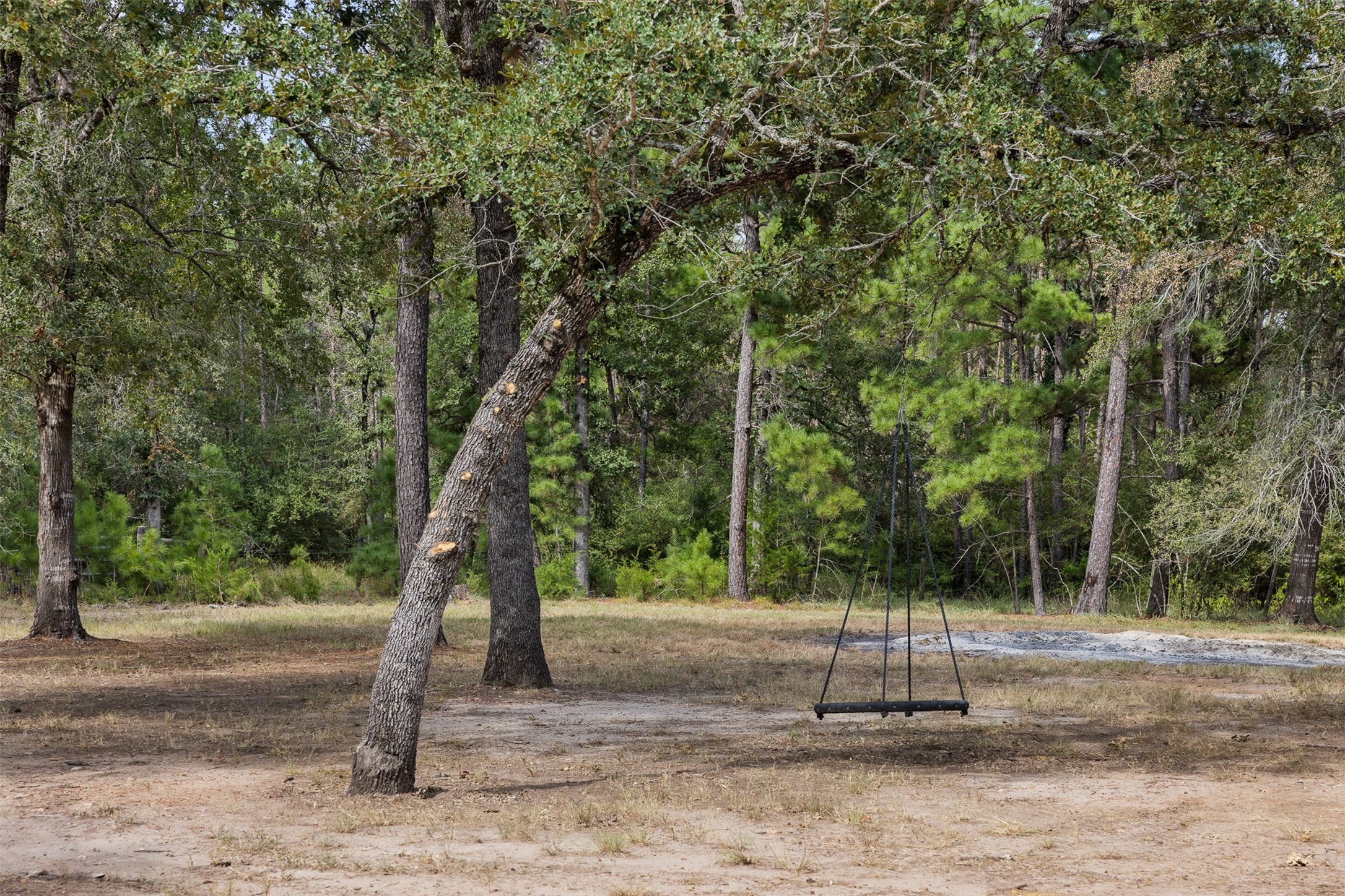 526 Piney Creek Road Property Photo 28