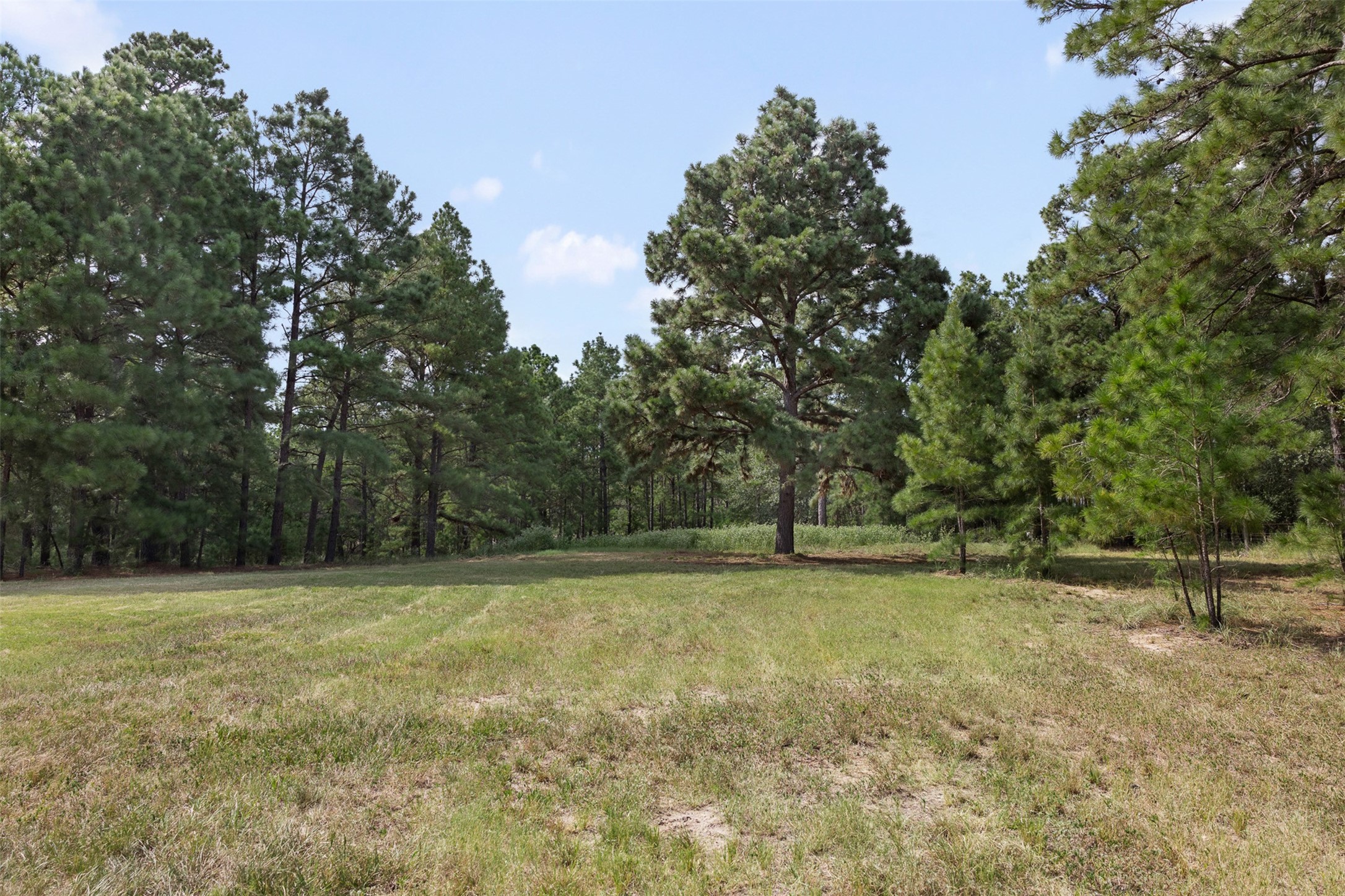 526 Piney Creek Road Property Photo 29
