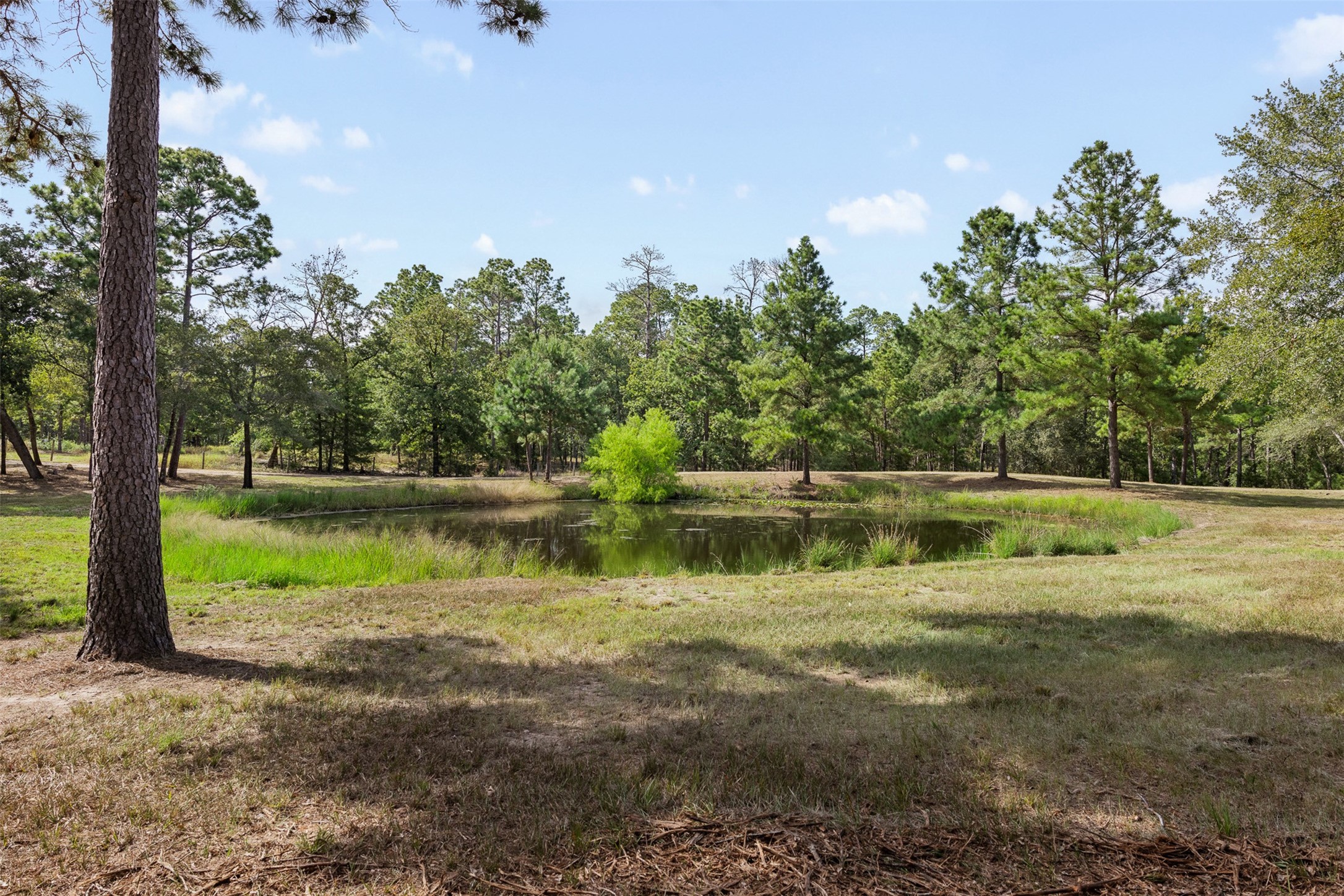 526 Piney Creek Road Property Photo 30